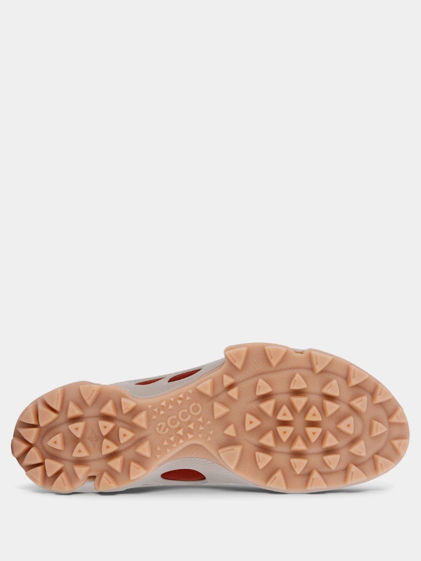 Кросівки ECCO BIOM C-TRAIL модель 80317357922 Фото