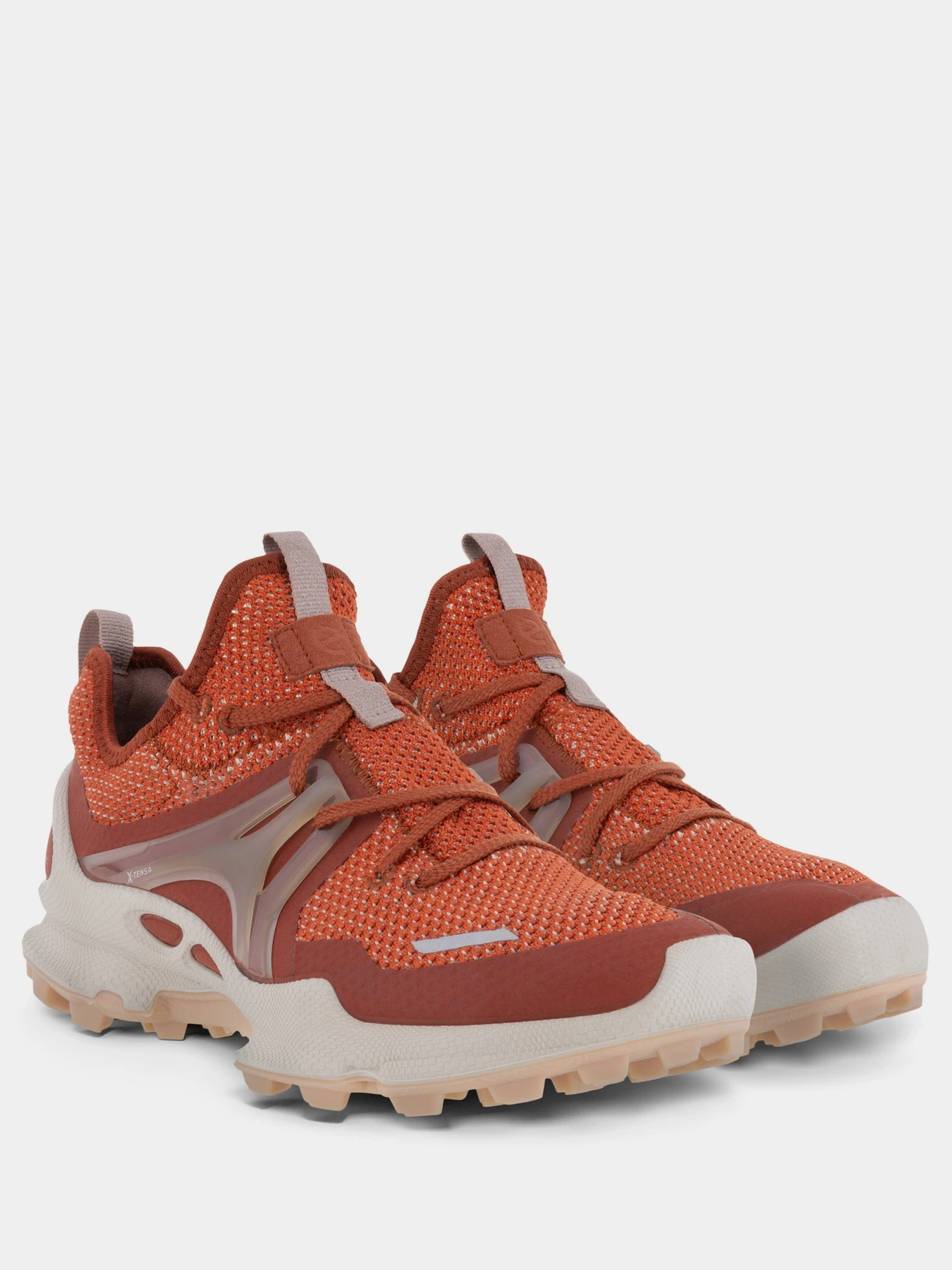 Кросівки ECCO BIOM C-TRAIL модель 80317357922 Фото