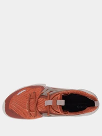 Кросівки ECCO BIOM C-TRAIL модель 80317357922 Фото