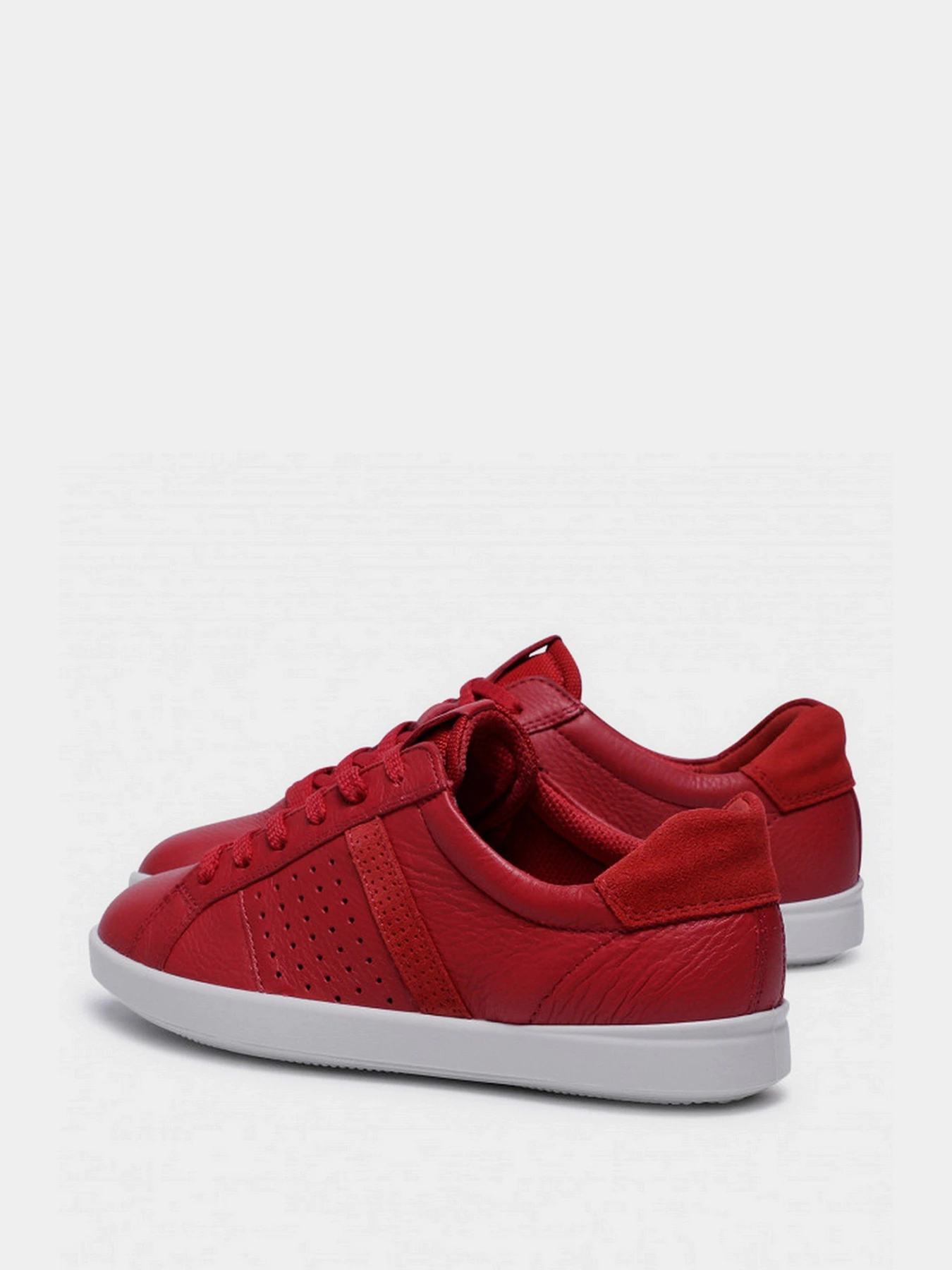 Кеди ECCO Leisure модель 20509351389 Фото