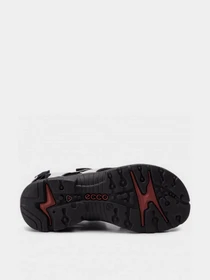 Сандалии ECCO OFFROAD модель 82204302152 Фото