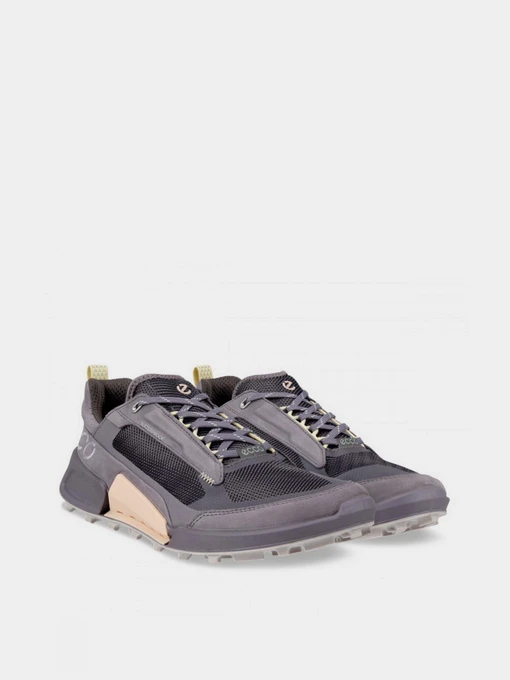 Кроссовки ECCO BIOM 2.1 x MOUNTAIN модель 82381360773 Фото