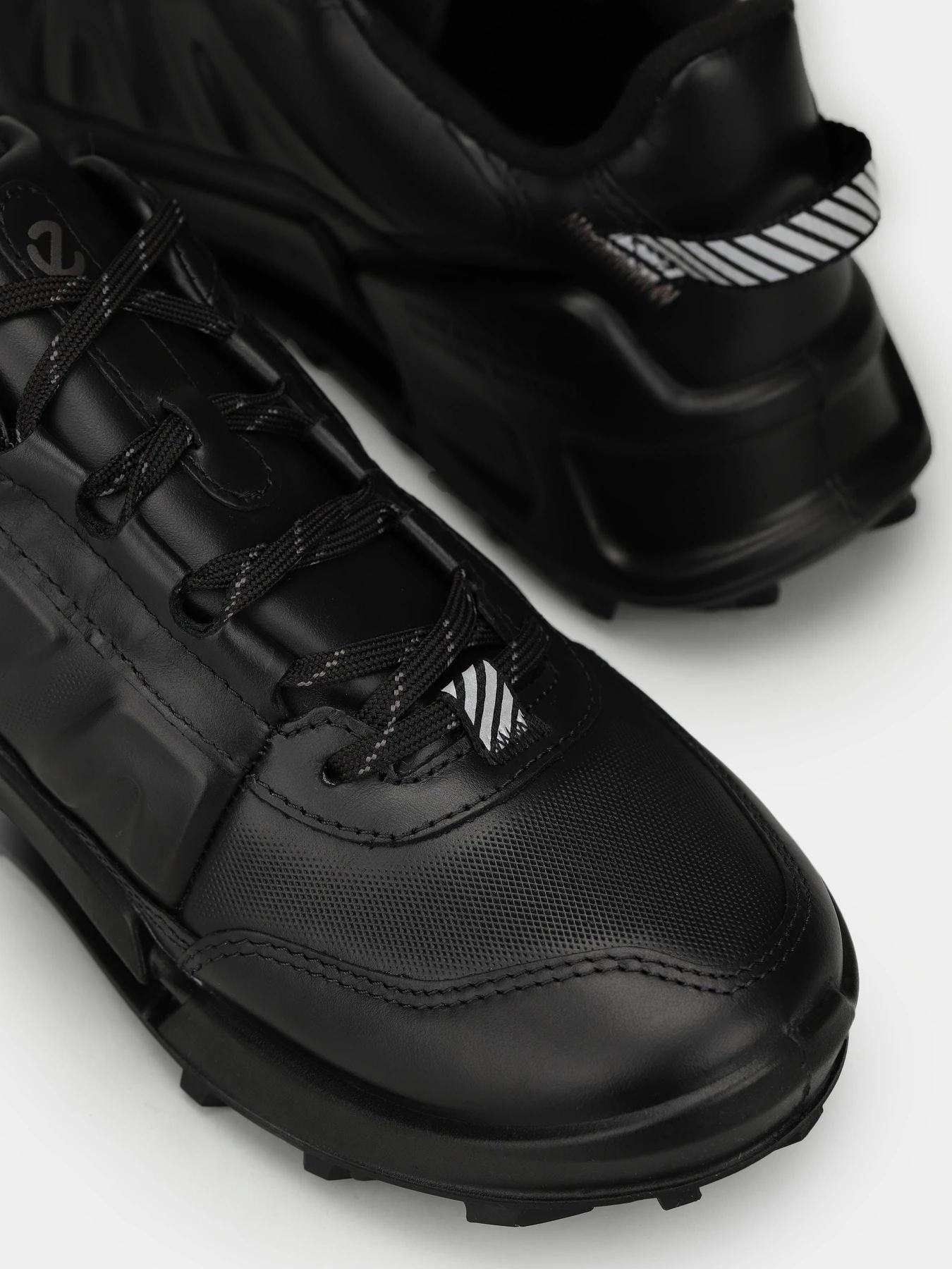 Кроссовки ECCO Biom 2.1 x Mountain модель 82387301001 Фото