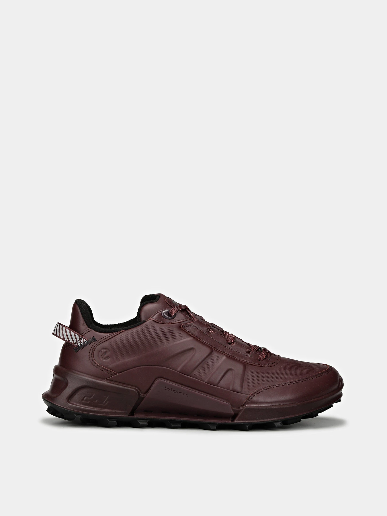 Кроссовки ECCO Biom 2.1 x Mountain модель 82387301385 Кроссовки ECCO Biom 2.1 x Mountain модель 82387301385 Фото