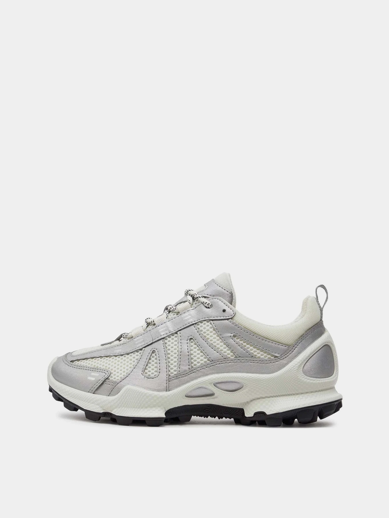 Кросівки ECCO BIOM C-TRAIL W модель 80322351366 Фото