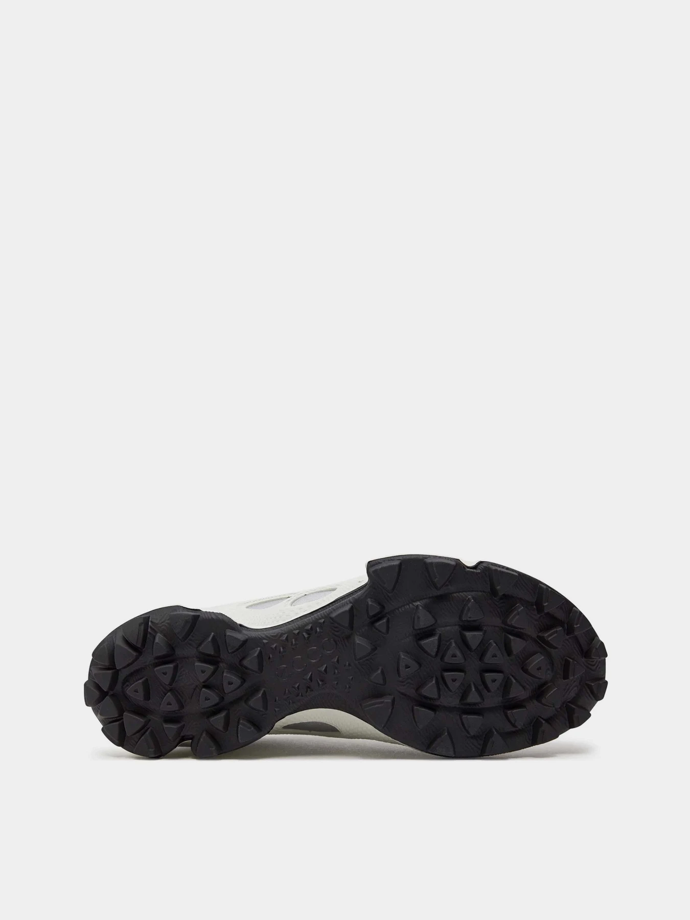 Кросівки ECCO BIOM C-TRAIL W модель 80322351366 Фото