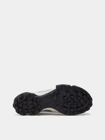 Кросівки ECCO BIOM C-TRAIL W модель 80322351366 Фото