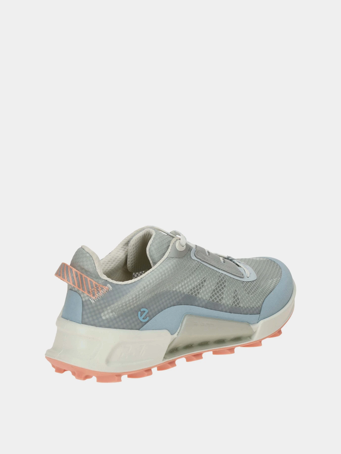 Кросівки ECCO BIOM 2.1 X MOUNTAIN W модель 82385361113 Фото