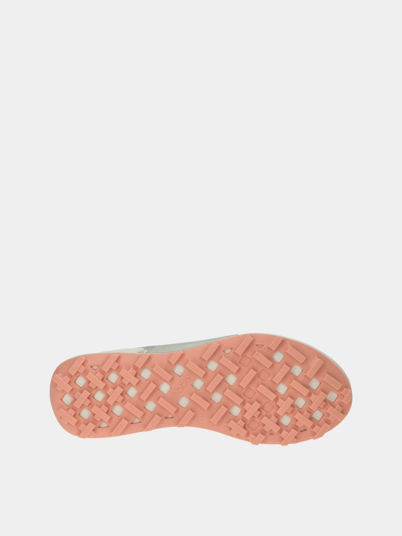 Кросівки ECCO BIOM 2.1 X MOUNTAIN W модель 82385361113 Фото