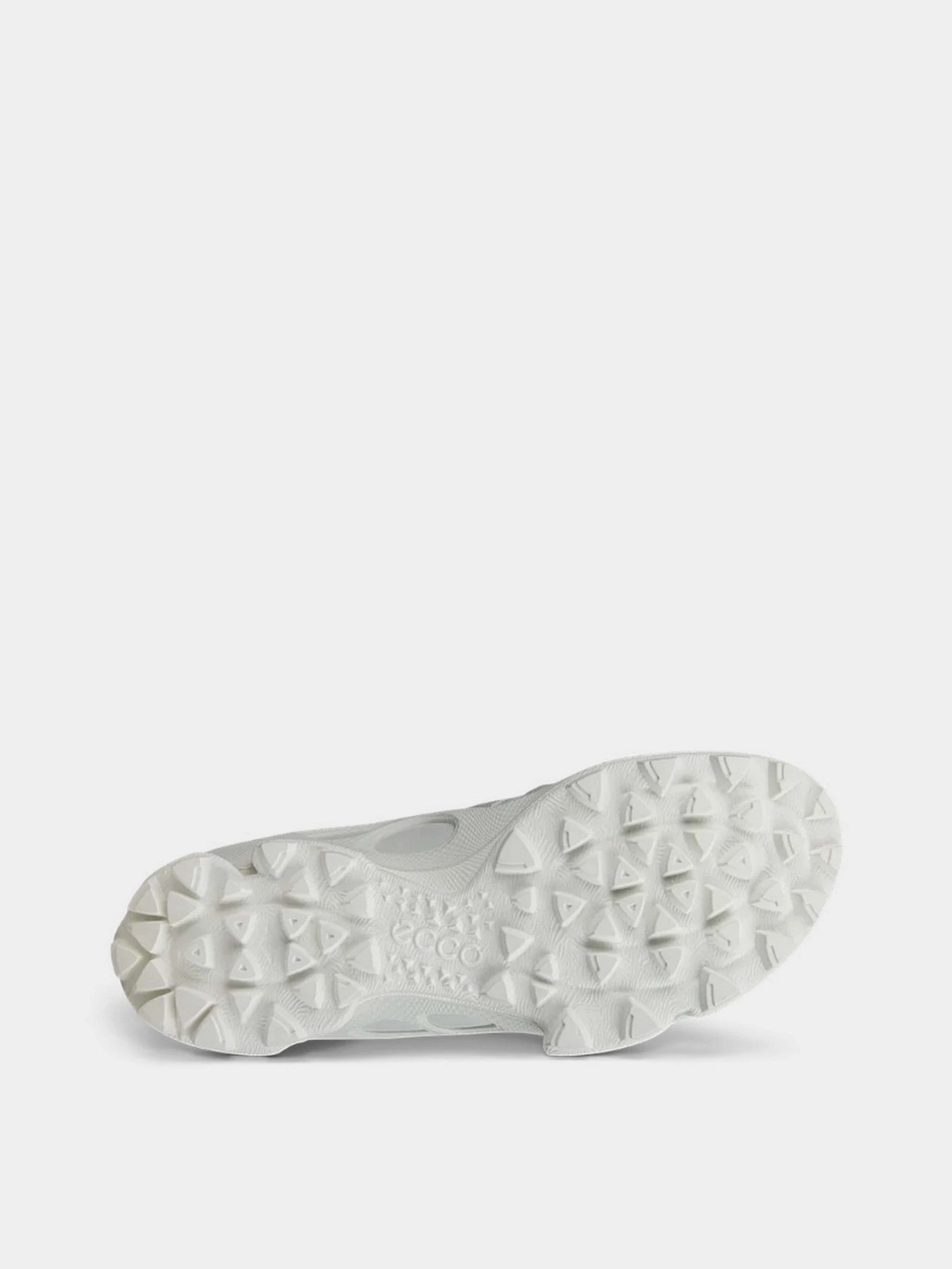 Кроссовки ECCO BIOM C-TRAIL M модель 80325460955 Кроссовки ECCO BIOM C-TRAIL M модель 80325460955 Фото