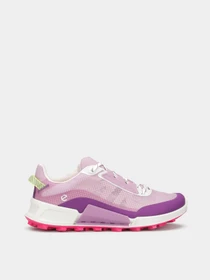 Кроссовки ECCO BIOM 2.1 X MOUNTAIN W модель 82385361112 Фото