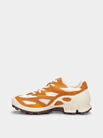 Кроссовки ECCO BIOM C-TRAIL W модель 80347361422 Фото