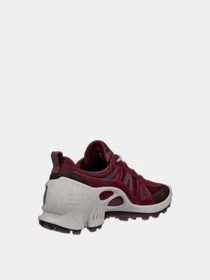 Кросівки ECCO BIOM C-TRAIL W модель 80346361424 Фото