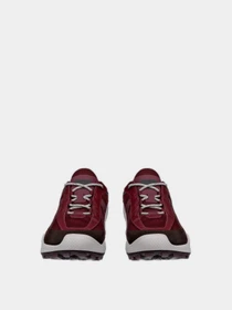 Кросівки ECCO BIOM C-TRAIL W модель 80346361424 Фото