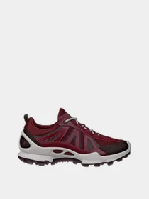 Кросівки ECCO BIOM C-TRAIL W модель 80346361424 Фото