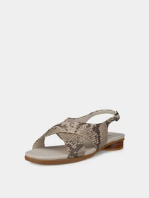 Босоніжки ECCO SCULPTED ALBA 25 модель 23383301378 Фото