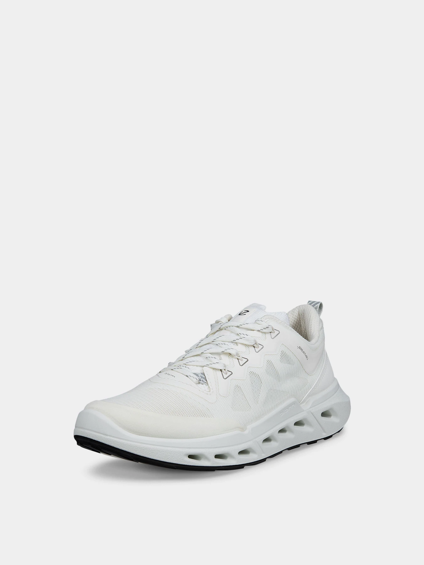Кроссовки ECCO BIOM 720 W модель 85031351969 Фото