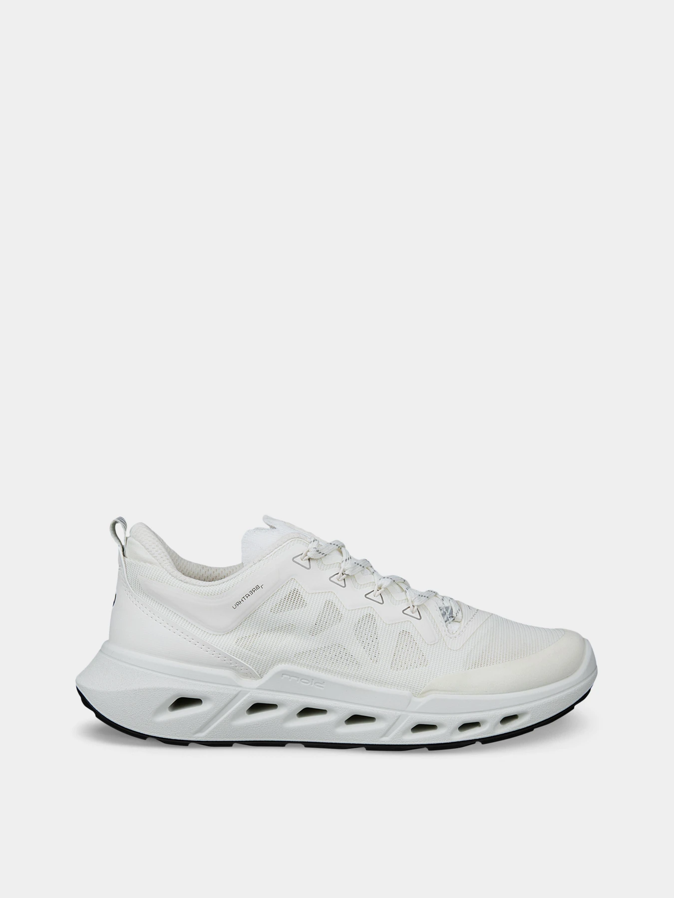 Кроссовки ECCO BIOM 720 W модель 85031351969 Фото