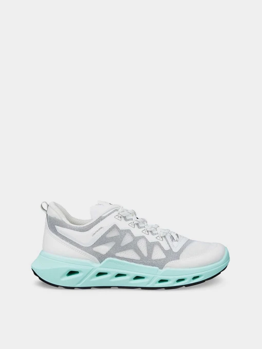 Кроссовки ECCO BIOM 720 W модель 85031353298 Фото