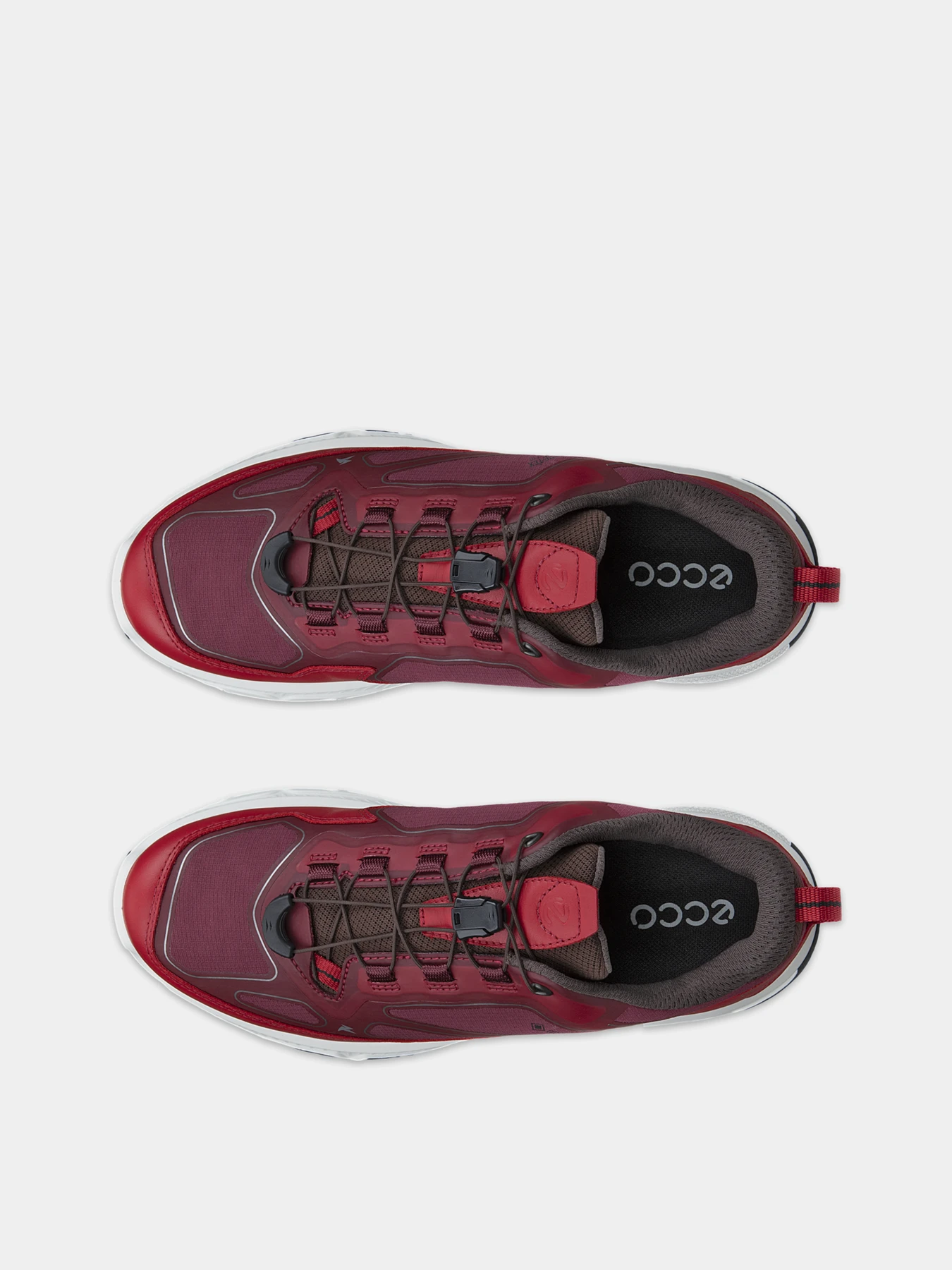 Кросівки ECCO RECEPTOR XP W модель 85434361965 Кросівки ECCO RECEPTOR XP W модель 85434361965 Фото