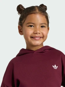 Костюмы Adidas модель KS1281 Фото