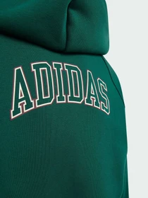 Худи и свитшоты Adidas модель KS5142 Фото