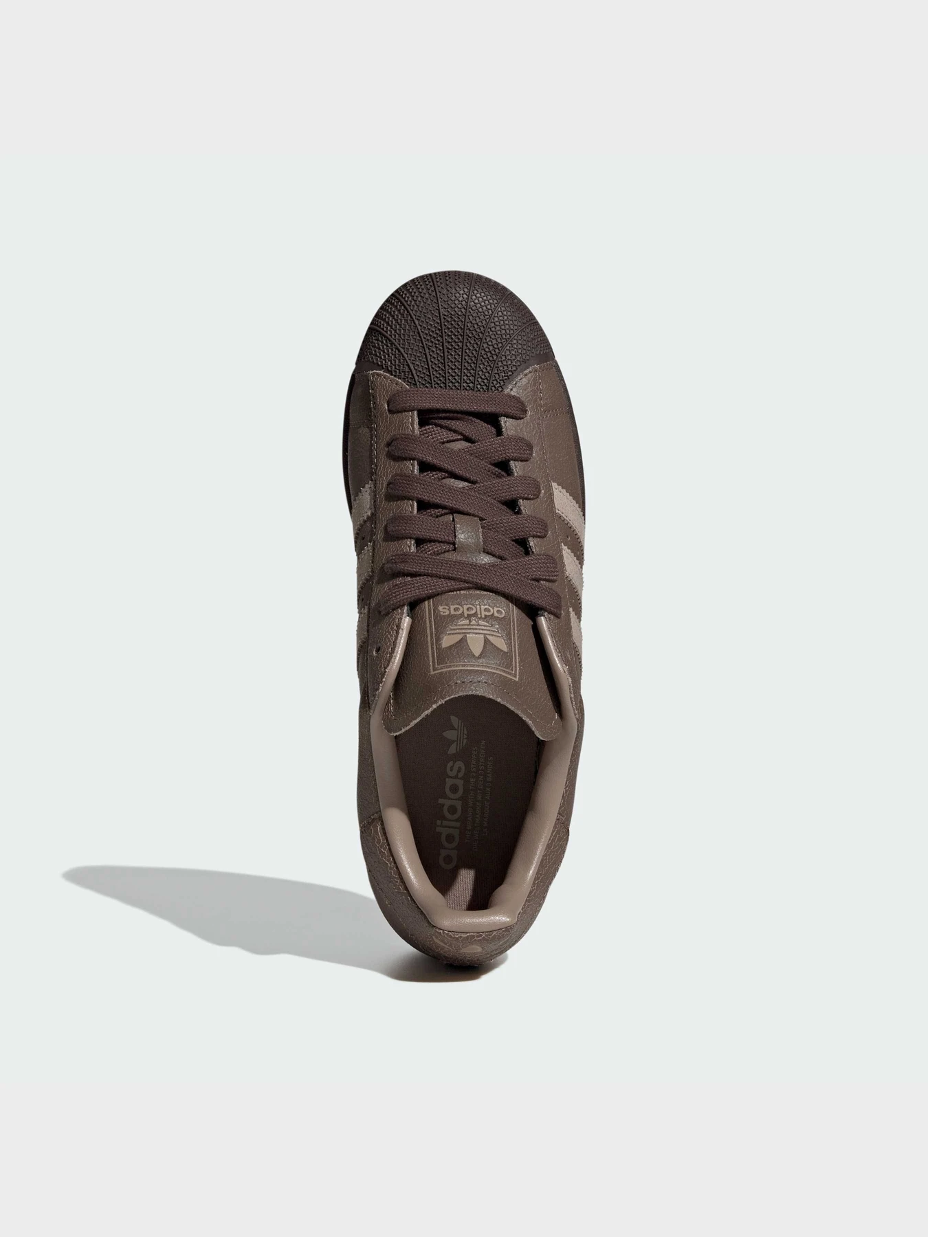 Кеди Adidas Superstar модель KI5010 Фото
