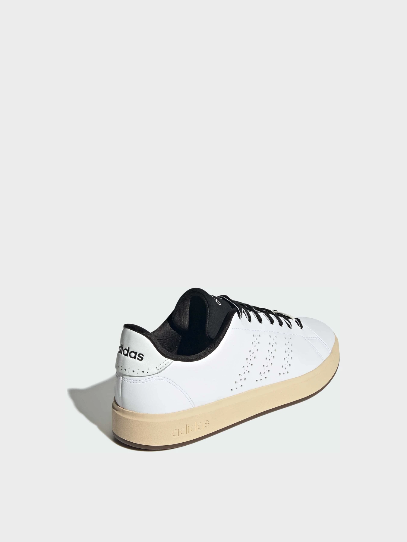 Кеды Adidas Advantage модель JS4486 Кеды Adidas Advantage модель JS4486 Фото
