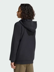 Худи и свитшоты Adidas модель KT1743 Фото