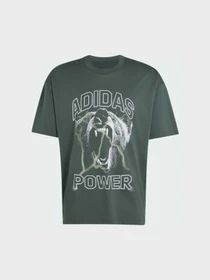Футболки і поло Adidas Clima модель KQ9853 Фото