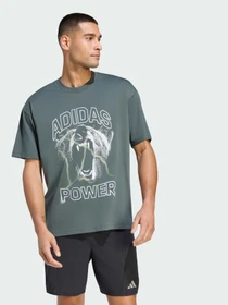Футболки і поло Adidas Clima модель KQ9853 Фото