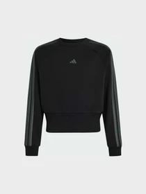 Худи и свитшоты Adidas модель KQ7043 Фото