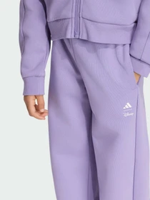 Штани Adidas модель KG6141 Фото