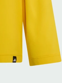 Худи и свитшоты Adidas модель KQ6103 Фото
