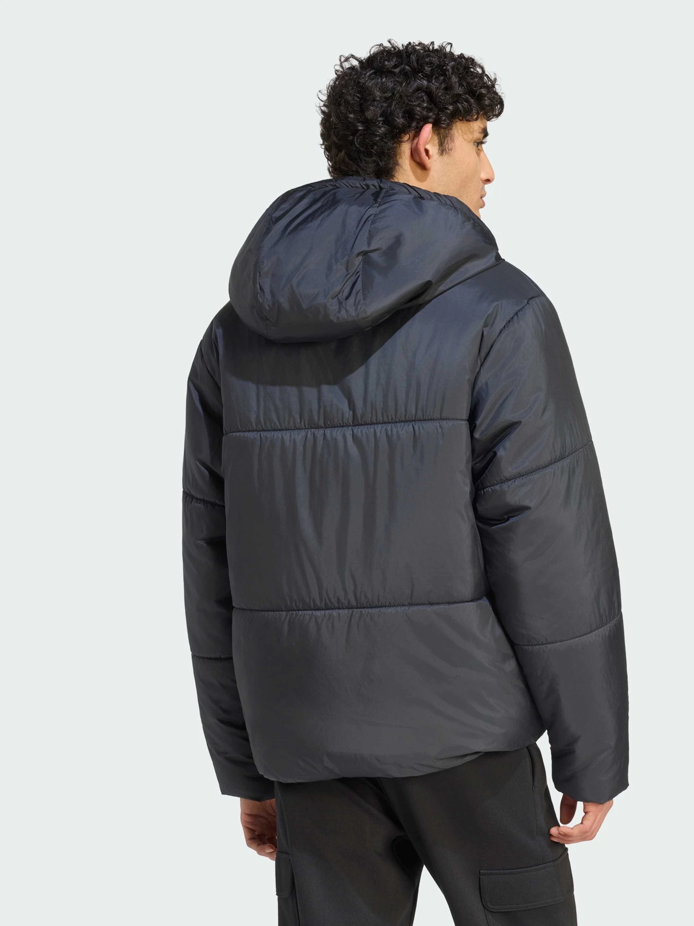 Куртки и дубленки Adidas модель KS6446 Фото