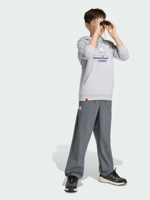 Худи и свитшоты Adidas модель KD8750 Фото