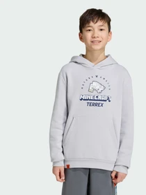 Худи и свитшоты Adidas модель KD8750 Фото