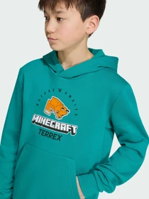 Худи и свитшоты Adidas модель KT0906 Фото