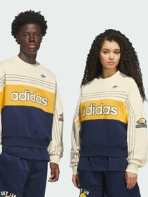 Худі та світшоти Adidas модель KS8191 Фото