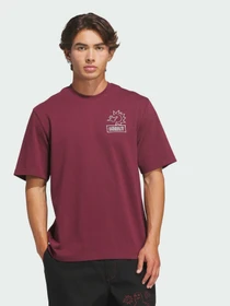 Футболки і поло Adidas Graphics модель KQ6267 Фото