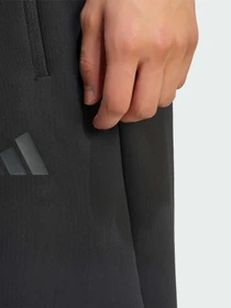 Штани Adidas ZNE модель KF6306 Фото