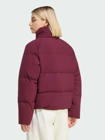 Куртки та дублянки Adidas модель KS5287 Фото