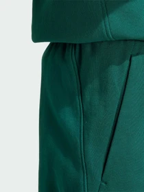Шорты Adidas модель KW2303 Фото