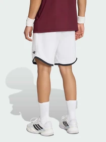 Шорты Adidas модель KY8879 Фото