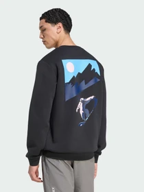 Худи и свитшоты Adidas модель KS2510 Фото