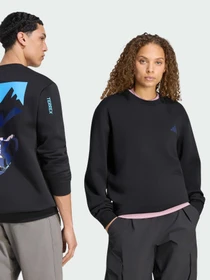 Худи и свитшоты Adidas модель KS2510 Фото