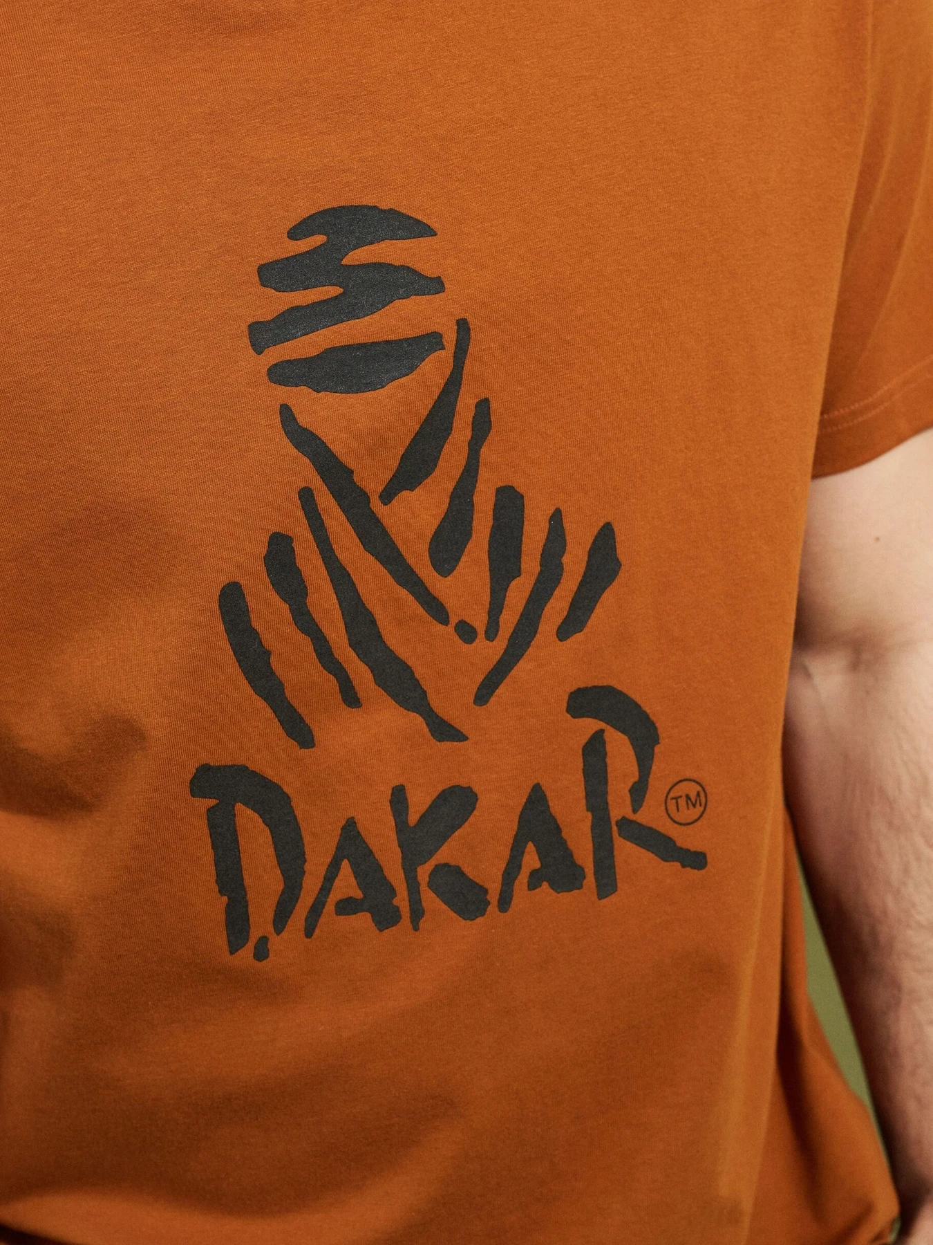 Футболки і поло DIVERSE Dkr Logo 263 модель 10049595 Футболки і поло DIVERSE Dkr Logo 263 модель 10049595 Фото