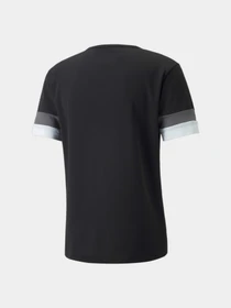 Футболки и поло PUMA Teamrise Jersey модель 704932 Фото