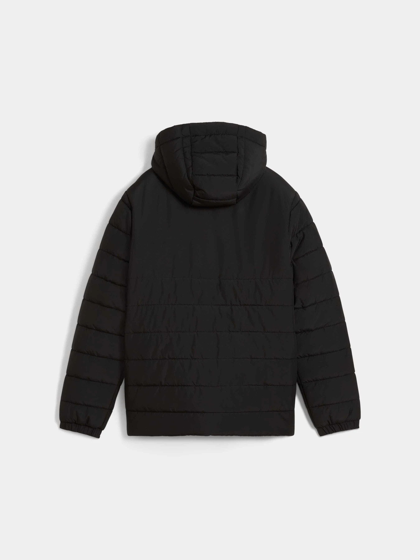 Куртки и дубленки PUMA Teamadditions Hood Padded Jr модель 659738 Фото
