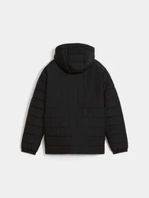 Куртки и дубленки PUMA Teamadditions Hood Padded Jr модель 659738 Фото
